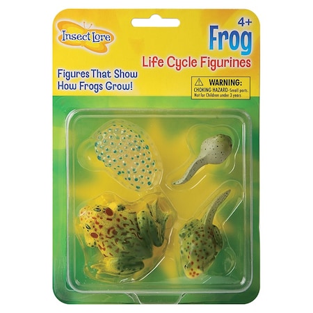 Insect Lore Frog Life Cycle Stages Figure Set 2610